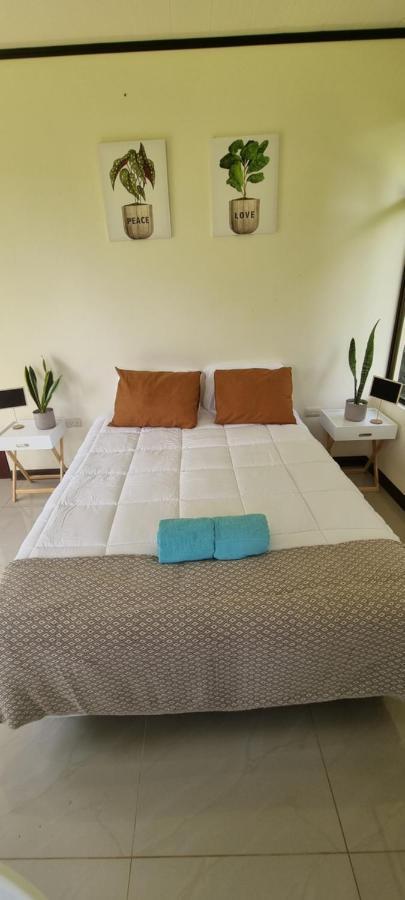 Koi Room Quesada  المظهر الخارجي الصورة